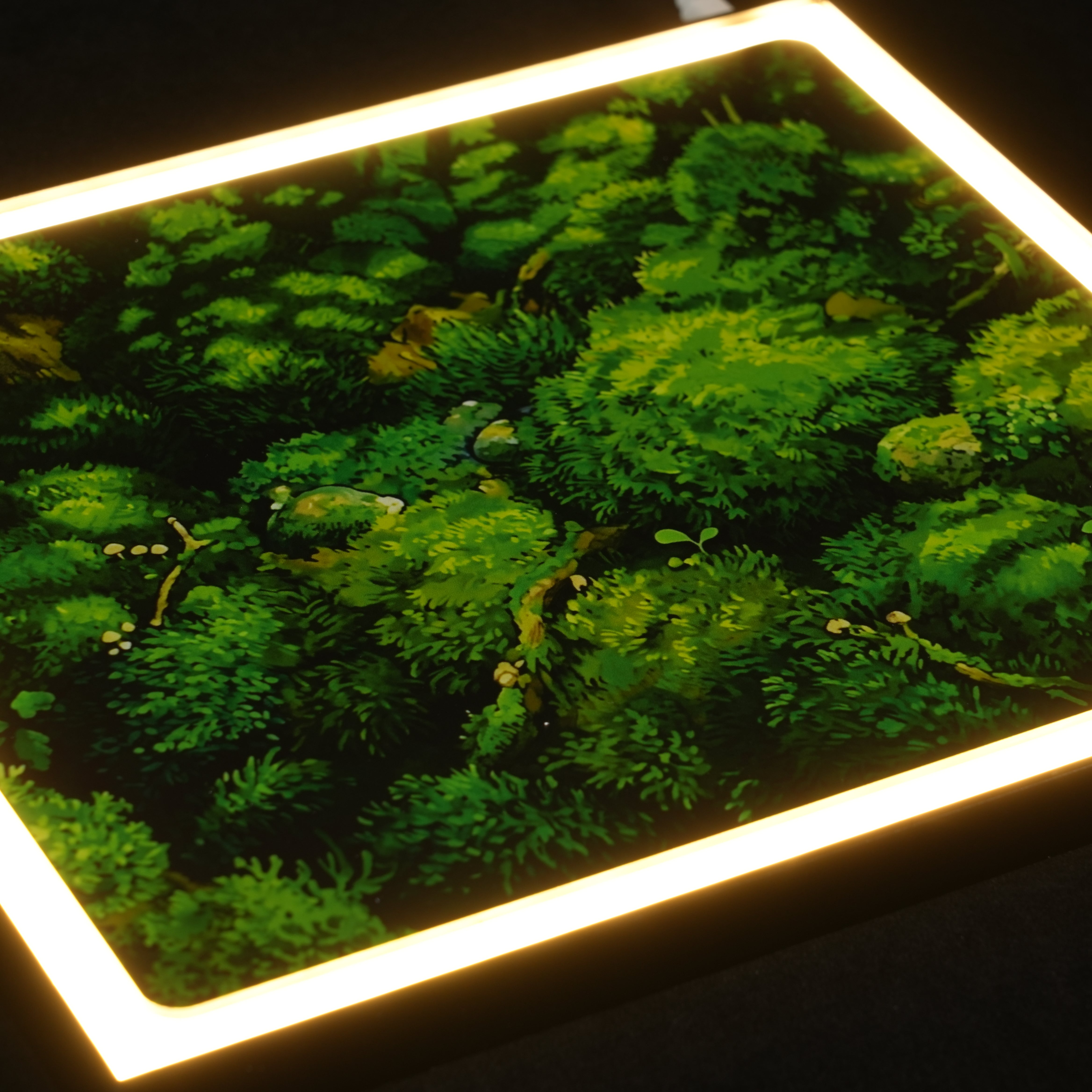 LED Light Acrylic Display Case for LEGO® Botanicals 11505 Woodland Mushrooms (LEGO® Set NOT Include)