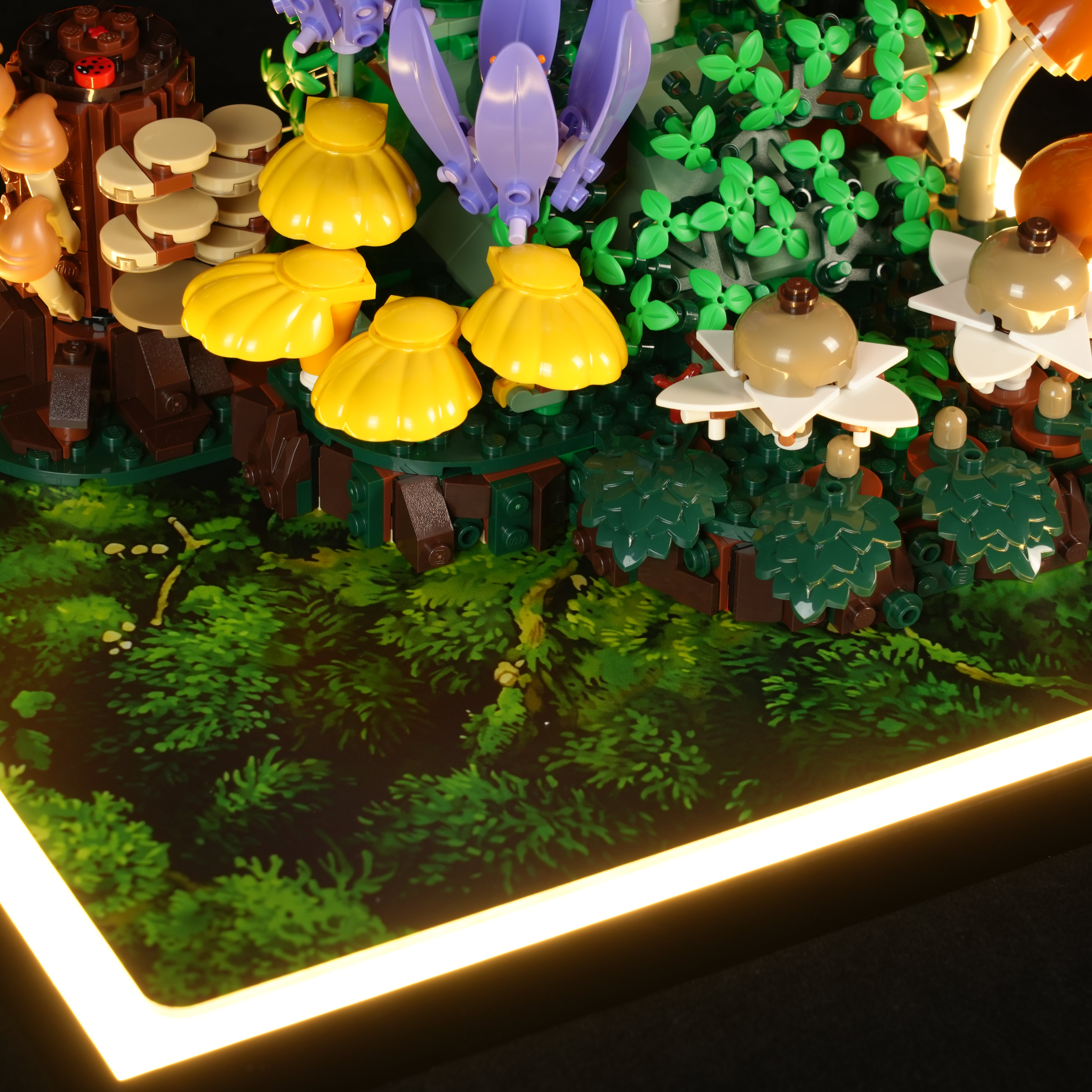 LED Light Acrylic Display Case for LEGO® Botanicals 11505 Woodland Mushrooms (LEGO® Set NOT Include)